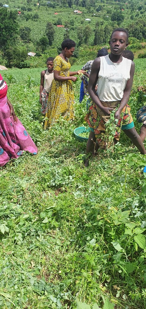 Participants during an outdoor field activity